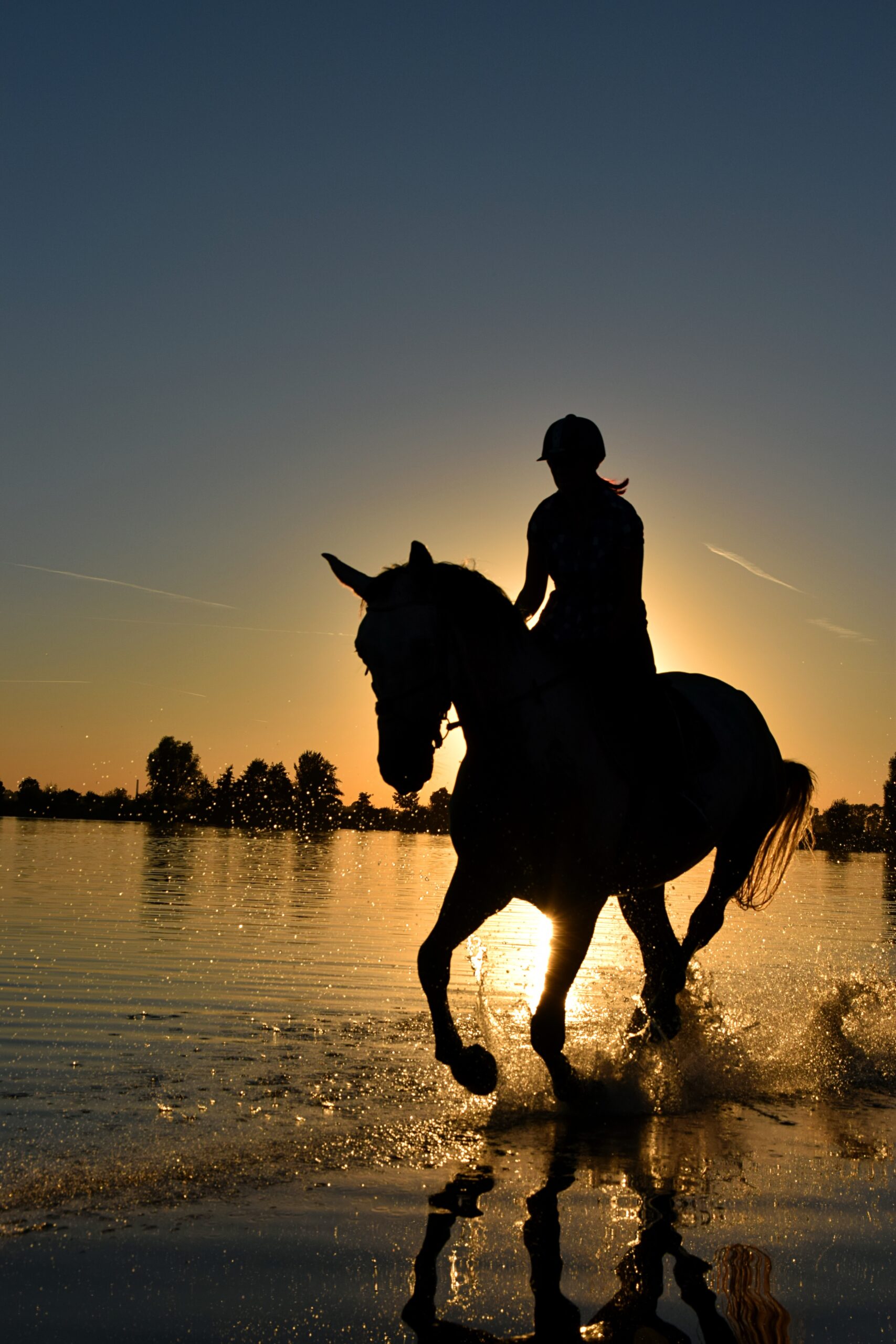 harmonisches Pferd-Reiter-Paar galoppiert im Sonnenuntergang durchs Wasser